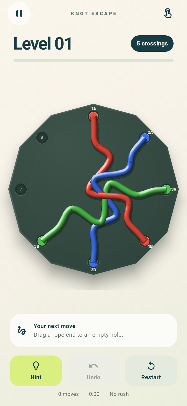 Knot Escape Level 1: three tangled red, blue and green ropes with labelled ends and empty holes